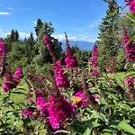 Golf Und Berglodge Velden Am Woerthersee